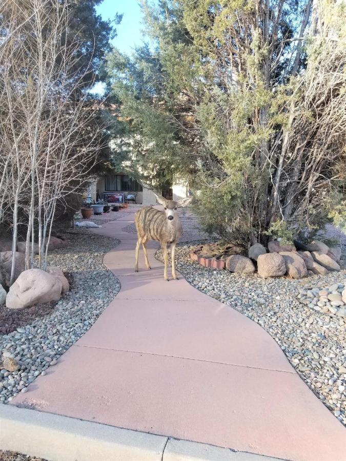 Your Comfy Home In Colorado Springs Eksteriør bilde